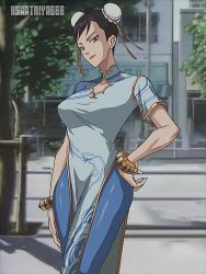 Rule 34 | 1990s (style), 1girl, absurdres, bracelet, brown eyes, brown hair, bun cover, capcom, china dress, chinese clothes, chun-li, commission, double bun, dress, film grain, hair bun, hand on own hip, highres, jewelry, kshatriya 666, looking at viewer, retro artstyle, solo, standing, street fighter, street fighter 6, tree