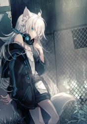 Rule 34 | 1girl, ahoge, animal ears, bare shoulders, blue eyes, breasts, chain-link fence, commentary request, fence, fox ears, fox girl, fox tail, hair between eyes, headphones, headphones around neck, highres, jacket, long hair, long sleeves, numi (sin), off shoulder, open clothes, open jacket, original, paw print, small breasts, solo, standing, tail, white hair
