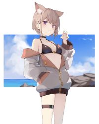 Rule 34 | 1girl, animal ears, bare shoulders, bikini, black bikini, blue sky, blush, breasts, brown hair, buckle, claw pose, cleavage, closed mouth, collar, collarbone, day, earrings, extra ears, grey jacket, hand in pocket, highres, jacket, jewelry, long sleeves, looking at viewer, no pants, open clothes, open jacket, original, outdoors, outside border, partially unzipped, purple eyes, ryou (ponpgo), short hair, sky, slit pupils, small breasts, smile, solo, standing, swimsuit, thigh strap, zipper, zipper pull tab