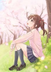 Rule 34 | 1girl, :o, black legwear, blurry, brown hair, cherry blossoms, depth of field, grass, hair ribbon, hands on own knees, highres, idolmaster, idolmaster cinderella girls, looking away, looking up, mitsuyahachiko, ogata chieri, outdoors, own hands together, petals, pink sweater, plaid, plaid skirt, profile, ribbon, school uniform, sidelocks, skirt, solo, sweater, thighs, twintails