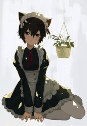 Rule 34 | 1girl, absurdres, animal ears, apron, black hair, buttons, cat ears, closed mouth, crossed bangs, dress, frilled dress, frills, grey eyes, hair between eyes, hanging plant, highres, kgt (pixiv12957613), long sleeves, looking at viewer, maid, maid apron, maid headdress, original, pantyhose, plant, potted plant, short hair, solo, white pantyhose