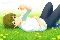 Rule 34 | 10s, 1boy, animal, brown hair, bug, collared shirt, dandelion, dated, flower, free!, full body, grass, green eyes, happy birthday, high speed!, insect, ladybug, lying, male focus, mo (nmnme), on back, shirt, smile, solo, tachibana makoto, text focus