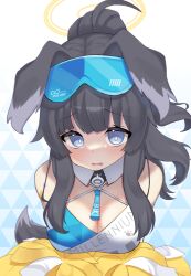Rule 34 | 1girl, absurdres, animal ears, black hair, blue archive, blue eyes, breasts, character name, cleavage, criss-cross halter, detached collar, dog ears, dog girl, dog tail, halo, halterneck, hibiki (blue archive), hibiki (cheer squad) (blue archive), highres, large breasts, leaning forward, long hair, looking at viewer, mirami (tatarim39), open mouth, paw print, pom pom (cheerleading), ponytail, solo, tail, visor cap, wavy mouth