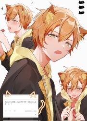 Rule 34 | 1boy, animal ears, black jacket, cat ears, dated, food, hair between eyes, highres, hood, hoodie, jacket, male focus, momiji 11 12, open mouth, orange hair, project sekai, shinonome akito, solo, timestamp, tongue, tongue out, translation request, yellow eyes, yellow hoodie