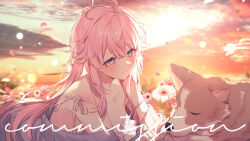 Rule 34 | 1girl, ahoge, animal, blue eyes, blue jacket, blurry, blurry background, blush, breasts, cleavage, closed mouth, cloud, cloudy sky, collarbone, commission, depth of field, dress, flower, hair between eyes, highres, horizon, jacket, long hair, medium breasts, moffle (ayabi), ocean, open clothes, open jacket, original, outdoors, pink flower, sky, smile, solo, strap slip, sunset, very long hair, white dress, white flower