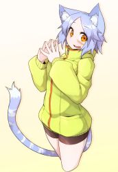 Rule 34 | 1girl, animal ears, blue hair, blush, breasts, cat ears, cat tail, fang, gradient background, highres, looking at viewer, open mouth, orange eyes, original, pantyhose, ryota tentei, scar, short hair, shorts, smile, solo, tail, tora tentei