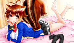 Rule 34 | 1girl, animal ears, antenna hair, arc system works, ass, barefoot, bed, blazblue, blush, breasts, brown hair, chukachuka, highres, large breasts, looking at viewer, lying, makoto nanaya, on stomach, panties, red eyes, school uniform, shiny skin, short hair, skirt, smile, solo, squirrel ears, squirrel tail, tail, underwear