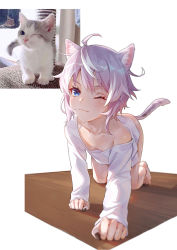 Rule 34 | 1girl, :3, ahoge, all fours, animal ears, barefoot, blue eyes, blurry, breasts, cat, cat ears, cat girl, cat tail, cleavage, depth of field, fang, fingernails, grey hair, highres, looking at viewer, one eye closed, original, photo-referenced, photo inset, reference inset, sharp fingernails, sharp toenails, short hair, slit pupils, small breasts, solo, tail, tight (ohmygod), toenails, white background