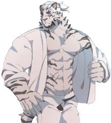 Rule 34 | 1boy, abs, animal ears, arknights, bara, bare pectorals, black male underwear, blue eyes, facial hair, feet out of frame, furry, furry male, goatee, high ponytail, highres, kimagureuso, large hands, large pectorals, looking at viewer, male focus, male underwear, male underwear peek, mountain (arknights), mountain (book reader) (arknights), muscular, muscular male, nipples, official alternate costume, open clothes, open fly, open shirt, pants, pectorals, scar, scar across eye, scar on arm, short hair, solo, sparse navel hair, stomach, tail, thick eyebrows, tiger boy, tiger ears, tiger tail, turning head, underwear, undressing, white hair, white pants