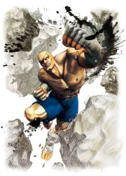 Rule 34 | 1boy, bald, capcom, eyepatch, highres, male focus, muscular, official art, punching, sagat, solo, street fighter, street fighter iv (series)