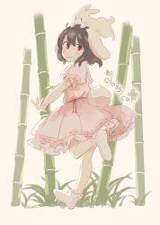 Rule 34 | 1girl, :d, absurdres, animal ears, bad id, bad pixiv id, bamboo, bamboo forest, blush stickers, brown hair, carrot necklace, commentary request, dress, forest, from side, full body, highres, inaba mob (touhou), inaba tewi, looking at viewer, nature, necklace, open mouth, pink dress, puffy short sleeves, puffy sleeves, rabbit, rabbit ears, rabbit girl, rabbit tail, red eyes, short sleeves, smile, solo, tail, touhou, tsukiori, white legwear