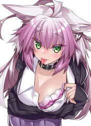 Rule 34 | 1girl, ahoge, alternate costume, animal ears, atalanta (fate), atalanta alter (fate), blush, bra, breasts, cat ears, collar, fate/apocrypha, fate/grand order, fate (series), green eyes, highres, large breasts, looking at viewer, multicolored hair, pink bra, self exposure, solo, tongue, tongue out, two-tone hair, unbuttoned, unbuttoned shirt, underwear, watosu (watosu mama), white background