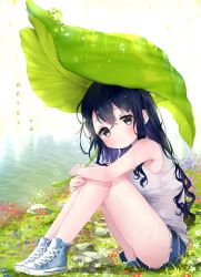 Rule 34 | 1girl, bad id, bad pixiv id, bare arms, bare legs, black eyes, black hair, blue flower, blue footwear, blue shorts, blush, closed mouth, converse, cross-laced footwear, english text, flower, from side, frown, full body, grass, hair between eyes, hugging own legs, knees up, leaf umbrella, li.b (liebenib), liby (libtnvd), long hair, looking at viewer, original, outdoors, red flower, river, riverbank, rock, shoes, shorts, sitting, sleeveless, solo, sunlight, tank top, wavy hair, wet