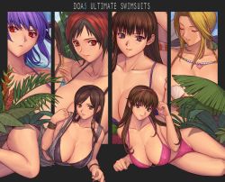 Rule 34 | 6+girls, ayane (doa), bikini, black bikini, blonde hair, blue eyes, breasts, brown hair, cleavage, collarbone, dead or alive, dead or alive 5, english text, closed eyes, green eyes, helena douglas, hitomi (doa), ibanen, jewelry, kokoro (doa), large breasts, lei fang, long hair, looking at viewer, lying, mila (doa), multicolored hair, multiple girls, necklace, on side, open mouth, pink bikini, plant, purple eyes, purple hair, red eyes, red hair, short hair, smile, swimsuit, tecmo