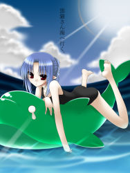 Rule 34 | 00s, 1girl, barefoot, blue hair, feet, hair up, inflatable dolphin, inflatable toy, len (tsukihime), light rays, nimiya, ocean, one-piece swimsuit, pointy ears, red eyes, solo, sunbeam, sunlight, swimsuit, tsukihime, water