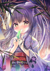 Rule 34 | 1girl, absurdres, animal ear fluff, animal ears, blurry, blurry foreground, blush, brown eyes, cat ears, commentary request, covered mouth, depth of field, floral print, hair between eyes, hands up, high ponytail, highres, holding, japanese clothes, kimono, long hair, long sleeves, looking at viewer, neko pan, obi, original, ponytail, print kimono, purple hair, purple kimono, sash, solo, tanzaku, upper body, very long hair, wide sleeves