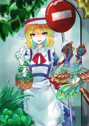 Rule 34 | absurdres, apron, artist request, bad id, bad twitter id, basket, bird, blonde hair, blue dress, bow, cowboy shot, dress, frilled apron, frills, hat, hat bow, highres, holding, holding basket, holding sign, kana anaberal, leaf, long sleeves, puffy short sleeves, puffy sleeves, red bow, red neckwear, road sign, short hair, short sleeves, sign, touhou, white apron, white hat, yellow eyes
