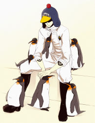 Rule 34 | 1boy, bird, boots, earflap hat, hat, hat over eyes, hat pompom, heart pirates, jumpsuit, male focus, one piece, penguin, penguin (one piece), pirate, sitting, solo, takuhe 0410