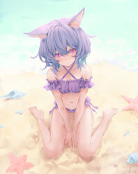 Rule 34 | 1girl, animal ear fluff, animal ears, barefoot, beach, between legs, bikini, breasts, cat ears, commentary, commentary request, commission, conch, day, english commentary, frilled bikini, frills, full body, hand between legs, io (io oekaki), light purple hair, looking at viewer, medium hair, mixed-language commentary, navel, original, outdoors, own hands together, pink eyes, pixiv commission, purple bikini, seashell, shell, sitting, small breasts, smile, starfish, swimsuit, wariza, water