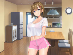 Rule 34 | 1girl, :3, arms behind back, blue eyes, blunt bangs, bra, bra visible through clothes, breasts, brown hair, chair, cleavage, clock, collarbone, cowboy shot, door, hair ornament, hairclip, highres, indoors, kitchen, large breasts, light, looking at viewer, microwave, midriff, navel, non-web source, original, phone, pink bra, pink shorts, plant, potted plant, re:shimashima, reflection, reflective floor, refrigerator, rice cooker, shirt, short hair, short shorts, shorts, smile, solo, standing, t-shirt, table, tissue box, underwear, wall clock, white shirt, window, wooden floor