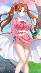 Rule 34 | 1girl, blush, breasts, brown eyes, brown hair, cherry blossoms, cleavage, closed mouth, clothes lift, collarbone, day, doukyuusei another world, dress, dress lift, floating hair, game cg, hair intakes, holding, kakyuusei, kanou ryouko, large breasts, long hair, long sleeves, official art, outdoors, panties, pink dress, purple ribbon, ribbon, side-tie panties, solo, spring (season), stairs, thigh gap, twintails, underwear, very long hair, white panties, wind, wind lift