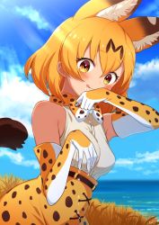 Rule 34 | 1girl, :p, animal ear fluff, animal ears, bare shoulders, blonde hair, blush, bow, bowtie, cat ears, cat girl, cat tail, commentary request, elbow gloves, extra ears, gloves, high-waist skirt, kamuraaa 615, kemono friends, looking at viewer, ocean, print bow, print bowtie, print gloves, print neckwear, print skirt, serval (kemono friends), serval print, shirt, short hair, skirt, sky, sleeveless, solo, tail, tongue, tongue out, traditional bowtie, water drop, white shirt, wiping mouth, yellow eyes