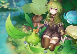 Rule 34 | 1girl, absurdres, ahoge, black dress, blush, bridal gauntlets, brown thighhighs, capelet, collei (genshin impact), commentary request, crossed bangs, dress, earrings, falling leaves, flower, fungi (genshin impact), genshin impact, grass, green capelet, green hair, hair ornament, highres, jewelry, leaf, long sleeves, mikiseriavoid, outdoors, outstretched hand, parted lips, plant, purple eyes, single earring, sitting, smile, solo, thighhighs, thighlet, thighs, wariza