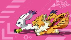 Rule 34 | cat, digimon, gloves, highres, holy ring, jewelry, meicoomon, official seraphimon, ring, running, tailmon