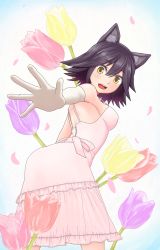 Rule 34 | 1girl, animal ears, asta (helck), bare shoulders, black hair, cat ears, dress, flower, from behind, gloves, helck, highres, looking at viewer, short hair, smile, tulip, user ddfp7238, white dress, white gloves, yellow eyes