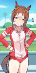 Rule 34 | 1girl, absurdres, alternate costume, animal ears, blurry, blurry background, blush, breasts, brown eyes, brown hair, buruma, collarbone, fine motion (umamusume), hair ornament, highres, horse ears, horse girl, horse tail, jacket, looking at viewer, medium hair, open mouth, racetrack, sky, small breasts, solo, tail, track jacket, umamusume, yamato (muchuu paradigm)