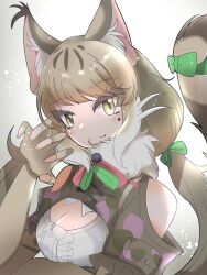 Rule 34 | 1girl, animal ears, cat ears, cat girl, cat tail, extra ears, highres, jungle cat (kemono friends), kemono friends, kemono friends v project, looking at viewer, rnrwbhybsxj4qgk, simple background, solo, tail, virtual youtuber