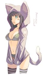 Rule 34 | 1girl, :d, animal ears, animal hood, blush, bra, breasts, brown hair, cleavage, cowboy shot, green eyes, grey bra, grey panties, hands in pockets, hood, hood up, long sleeves, looking at viewer, medium breasts, ohta yuichi, open mouth, original, panties, sideways mouth, simple background, slit pupils, smile, solo, standing, striped clothes, striped thighhighs, tail, thighhighs, thighs, translation request, underwear, white background