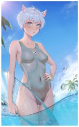 Rule 34 | 1girl, :o, animal ears, artist name, bad id, bad pixiv id, blush, breasts, cloud, competition swimsuit, day, groin, hand on own hip, navel, one-piece swimsuit, original, outdoors, palm tree, partially submerged, qizhu, short hair, silver hair, sky, solo, standing, sun, surfboard, swimsuit, thigh gap, tree, wading, water