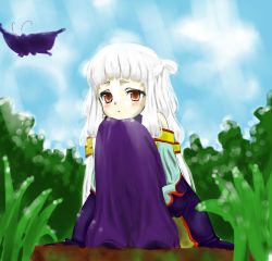 Rule 34 | 00s, chinese clothes, code geass, pale skin, red eyes, silver hair, solo, tianzi, twintails