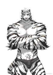Rule 34 | 1boy, abs, absurdres, animal ears, arknights, bara, black male underwear, briefs, bulge, crossed arms, facial hair, feet out of frame, frown, furry, furry male, goatee, highres, hujusheng, large pectorals, looking at viewer, male focus, male underwear, mountain (arknights), muscular, muscular male, navel hair, pectoral squeeze, pectorals, scar, scar across eye, short hair, solo, standing, stomach, straight-on, thick eyebrows, tiger boy, tiger ears, tiger stripes, topless male, underwear, white background, white fur, white hair