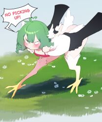 Rule 34 | 1girl, ahoge, angry, bare shoulders, birb (niniidawns), bird legs, bird tail, blank eyes, blush, braid, commentary, disembodied hand, english commentary, feathered wings, feathers, grabbing another&#039;s wing, green hair, hair between eyes, harpy, head wings, heart, heart ahoge, highres, long hair, monster girl, niniidawns, original, red tank top, solo focus, tail, talons, tank top, twin braids, white feathers, white wings, wing ears, winged arms, wings