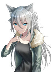 Rule 34 | 1girl, animal ear fluff, animal ears, arm up, black shirt, blue eyes, breasts, collarbone, fur-trimmed jacket, fur trim, green jacket, highres, jacket, long hair, looking at viewer, medium breasts, mouth hold, naga (pixiv70891418), open clothes, open jacket, open mouth, original, shirt, silver hair, smile, solo, teeth hold, white background