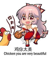 Rule 34 | 1girl, :d, ball, basketball, basketball (object), bilingual, bird, bow, chibi, chicken, chinese commentary, chinese text, commentary request, cross-eyed, dribbling (basketball), english text, fujiwara no mokou, full body, hair between eyes, hair bow, jokanhiyou, long hair, looking at viewer, lowres, mixed-language text, open mouth, pants, pink hair, puffy short sleeves, puffy sleeves, red eyes, red footwear, red pants, shirt, shoes, short sleeves, sidelocks, simple background, smile, solo, standing, standing on one leg, suspenders, suspenders slip, touhou, translation request, very long hair, white background, white bow, white shirt