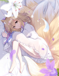 Rule 34 | 1girl, absurdres, animal ears, bad id, bad pixiv id, bare legs, barefoot, blonde hair, breasts, commentary request, dress, flower, fox ears, fox girl, fox tail, frilled dress, frills, full body, highres, kitsune, knees to chest, knees up, legs, legs folded, long hair, long sleeves, looking at viewer, lying, medium breasts, medium hair, multiple tails, niko kusa, no headwear, on side, petals, smile, solo, tabard, tail, thighs, touhou, upskirt, white dress, yakumo ran, yellow eyes