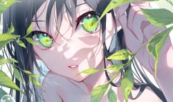 Rule 34 | 1girl, black hair, close-up, collarbone, crystal, earrings, fingernails, green eyes, highres, jewelry, leaf, light, light smile, long hair, looking at viewer, miwano rag, no shirt, original, shadow, signature, solo, water drop