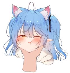 Rule 34 | 1girl, ;t, absurdres, ahoge, animal ear fluff, animal ears, black ribbon, blue hair, blush, cat ears, chessy, extra ears, grabbing another&#039;s chin, hair between eyes, hair ribbon, hand on another&#039;s chin, heart, heart ahoge, highres, hololive, long hair, looking at viewer, one eye closed, pointy ears, ribbon, simple background, solo focus, two side up, virtual youtuber, white background, yellow eyes, yukihana lamy, yukihana lamy (casual)