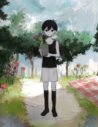 Rule 34 | 1boy, bare shoulders, black eyes, black flower, black hair, black socks, black tank top, blanket, blue sky, child, cloud, collarbone, colored skin, commentary, day, expressionless, faux traditional media, flower, flower pot, full body, grass, grey shorts, grey skin, highres, holding, holding flower, holding flower pot, looking at viewer, male focus, no nose, no shoes, omori, omori (omori), outdoors, plant, potted plant, purple flower, purple tulip, red flower, road, short hair, shorts, skkc 128, sky, socks, solid circle eyes, solo, standing, straight-on, sunflower, tank top, tree, tulip, yellow flower