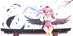 Rule 34 | 10s, 1girl, black wings, blue eyes, cherry blossoms, feathered wings, feathers, head wings, highres, inu x boku ss, karasuma kuroe, long hair, low wings, petals, pink hair, sitting, smile, solo, sora46, torii, twintails, wings