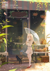 Rule 34 | 1girl, belt, black cat, blue eyes, cat, day, dress, echosdoodle, english text, flower shop, from side, full body, highres, holding, holding umbrella, loafers, long hair, original, outdoors, pantyhose, parted lips, petals, plant, potted plant, red footwear, sailor dress, shoes, shop, sign, snow rabbit, stairs, standing, storefront, transparent, transparent umbrella, umbrella, vines, watermark, white dress, white hair, white pantyhose