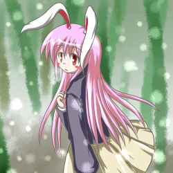 Rule 34 | 1girl, animal ears, baerun, rabbit ears, female focus, forest, lowres, nature, outdoors, pink hair, plant, red eyes, reisen udongein inaba, skirt, solo, touhou