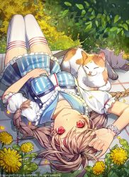 Rule 34 | 10s, 1girl, 2016, animal, artist name, bad id, bad twitter id, blue sailor collar, blue skirt, blush, braid, breasts, brown hair, cat, closed eyes, collarbone, day, english text, flower, flower bracelet, frilled sleeves, frills, hand on own stomach, kinchee, long hair, looking at viewer, lying, medium breasts, on back, on side, on stomach, original, outdoors, pinky out, red eyes, sailor collar, shirt, short sleeves, skirt, striped clothes, striped shirt, striped skirt, striped thighhighs, thighhighs, twin braids, watermark, white thighhighs, zettai ryouiki