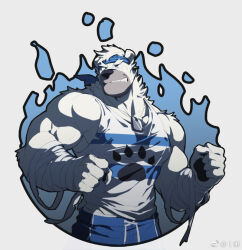Rule 34 | 1boy, bandaid, bandaid on face, bandaid on nose, bara, bear boy, ben (rollingstonex6), blue headband, clenched hands, cropped torso, dog tags, fighting stance, frown, furry, furry male, headband, large pectorals, looking to the side, male focus, mature male, midriff peek, muscular, muscular male, original, paw print, pectorals, print shirt, rollingstonex6, shirt, short hair, solo, tank top, thick eyebrows, white fur, white hair, white tank top
