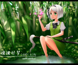 Rule 34 | 1girl, bamboo, bare legs, black bow, bow, bowtie, bug, butterfly, character name, grass, green eyes, hairband, bug, katana, knees together feet apart, konpaku youmu, letterboxed, outdoors, plant, puffy short sleeves, puffy sleeves, ribbon, san m, shirt, short hair, short sleeves, silver hair, sitting, skirt, skirt set, soaking feet, solo, sword, touhou, vest, water, weapon, white shirt