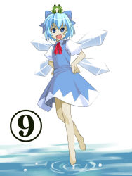 Rule 34 | circled 9, 1girl, barefoot, blue eyes, blue hair, bow, cirno, feet, female focus, flying, frog, hands on own hips, matching hair/eyes, object on head, phantasmagoria of flower view, smile, solo, touhou, umekichi, water, wings
