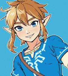 Rule 34 | 1boy, absurdres, beachepisode, blonde hair, blue background, blue eyes, blue tunic, grin, highres, link, looking at viewer, medium hair, nintendo, outline, pointy ears, simple background, smile, solo, the legend of zelda, the legend of zelda: breath of the wild, upper body, white outline